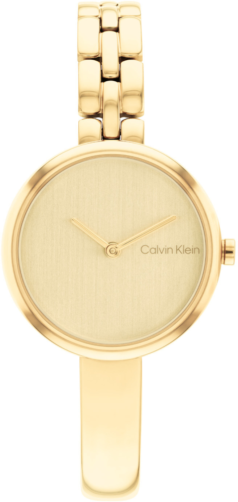Calvin Klein CK25200279 BANGLED Dames Horloge