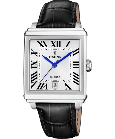 Festina F20681-1