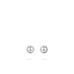 e1001wp-cca194b59b3d677f59602b7274d3432d.jpg